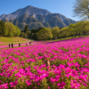 Hitsujiyama Park