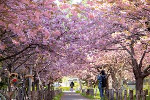 Hokkaido University Botanic Garden