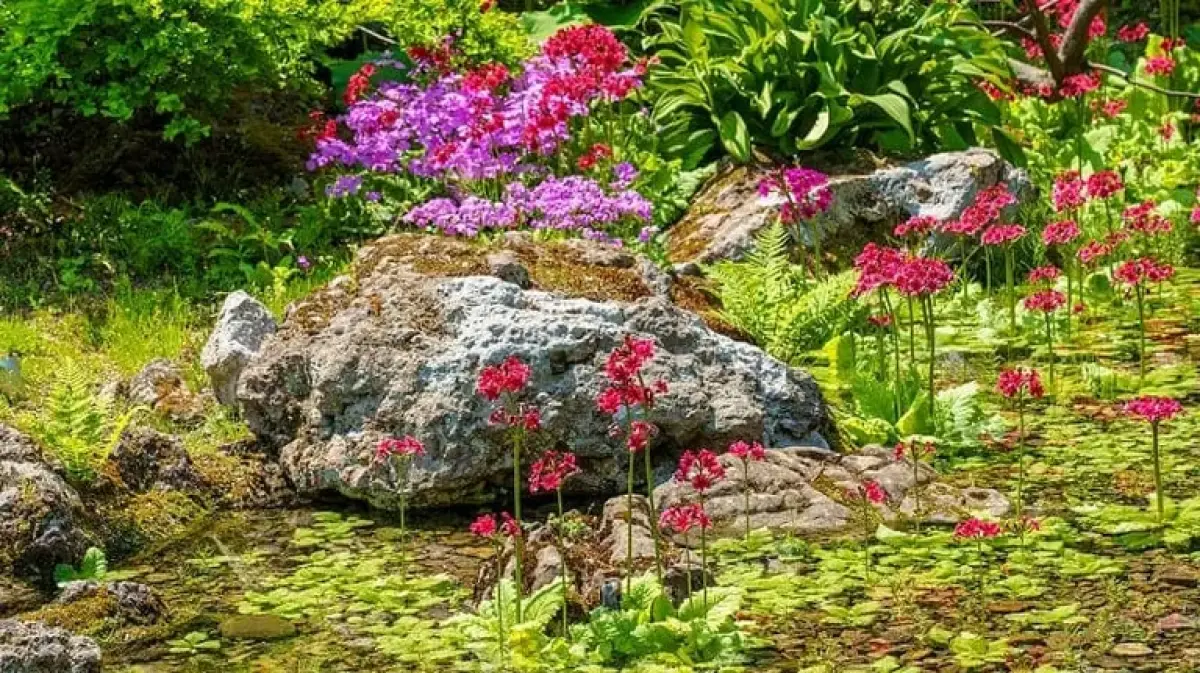 Hokkaido University Botanic Garden
