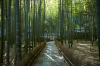 Hokokuji Temple