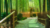 Hokokuji Temple