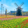 Huis Ten Bosch
