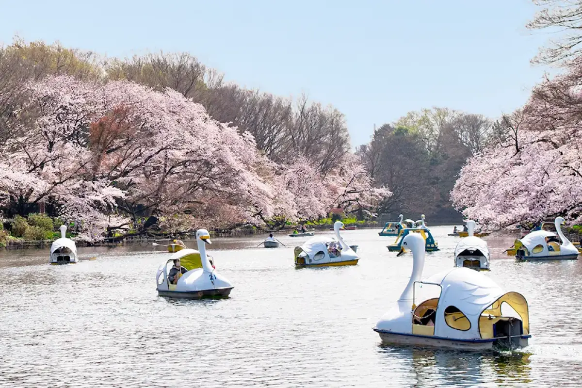 Inokashira Park
