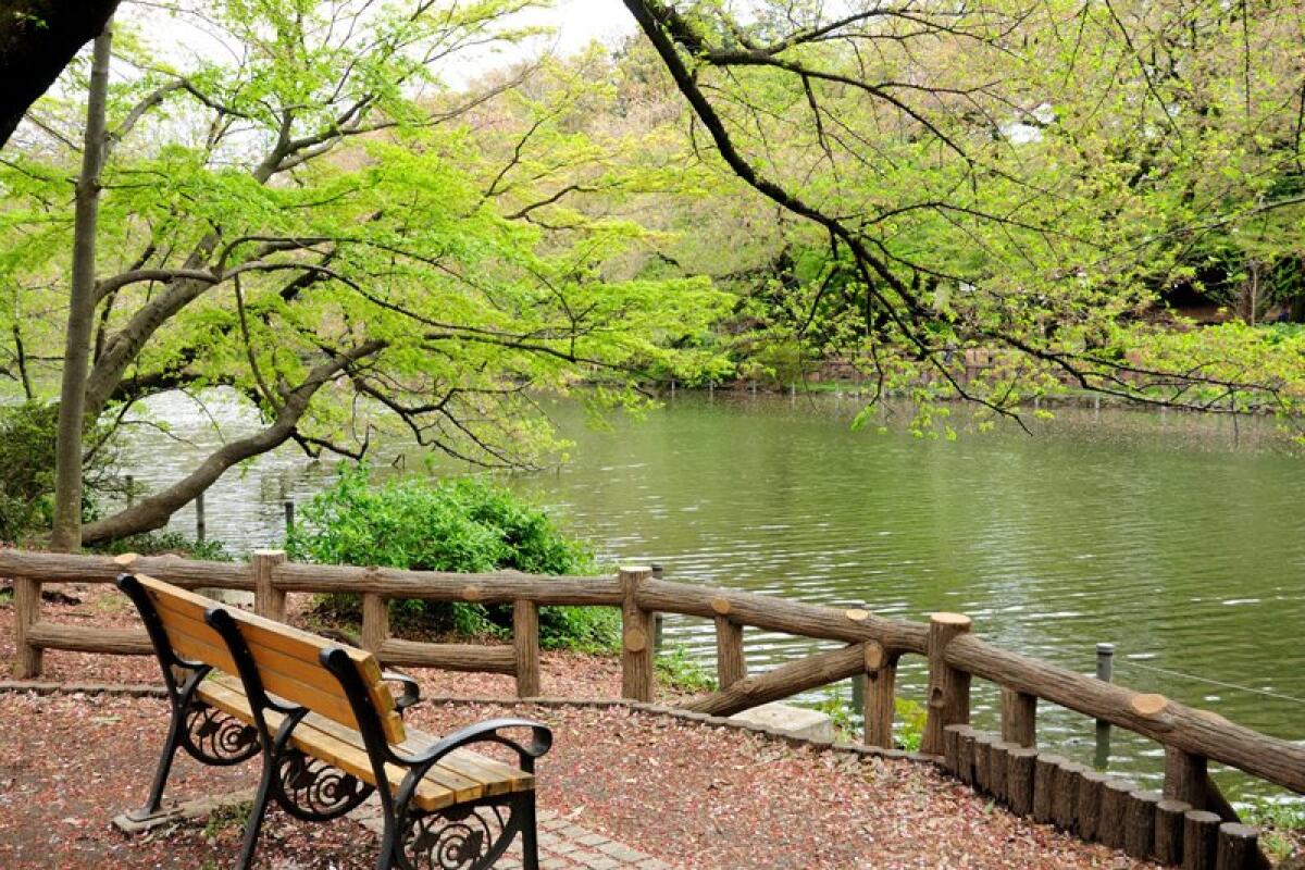 Inokashira Park