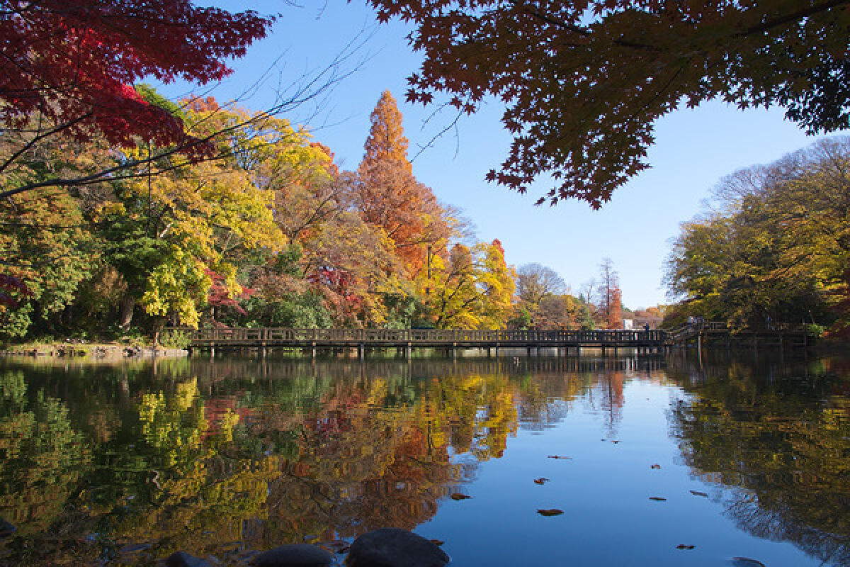 Inokashira Park