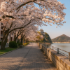 Inuyama Castle