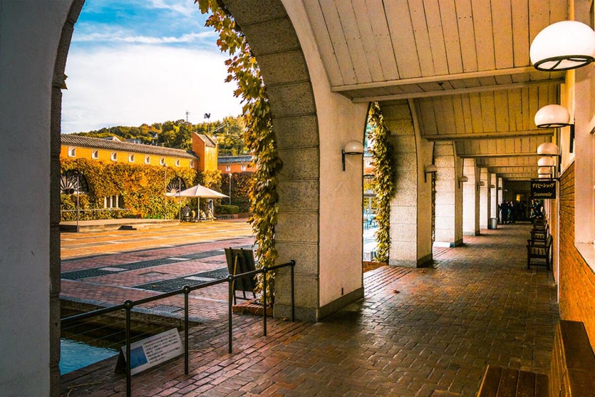 Ivy Square