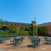 Ivy Square