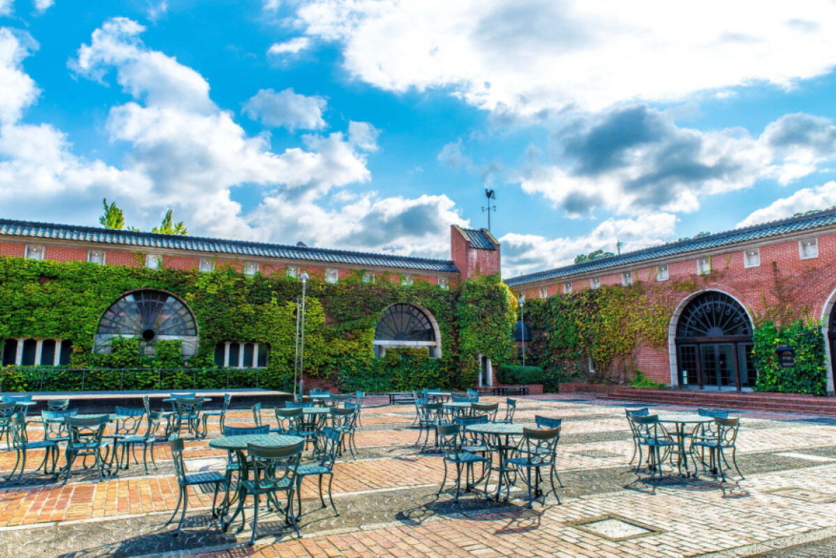Ivy Square