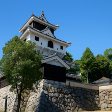 12. Iwakuni Castle