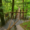 Iya Kazurabashi Bridge