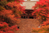 Jingoji Temple
