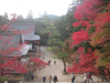 Jingoji Temple