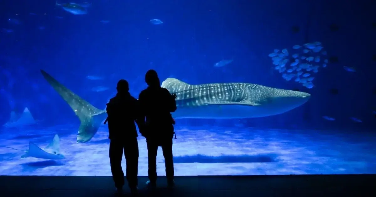 Kagoshima Aquarium
