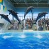 Kagoshima Aquarium
