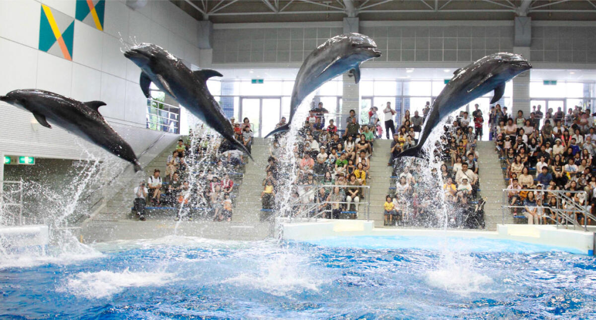 Kagoshima Aquarium