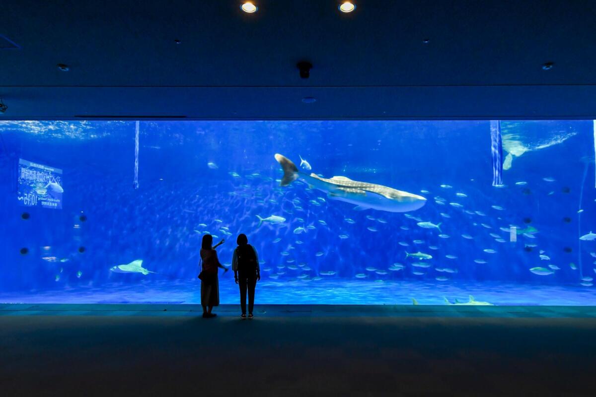 Kagoshima Aquarium