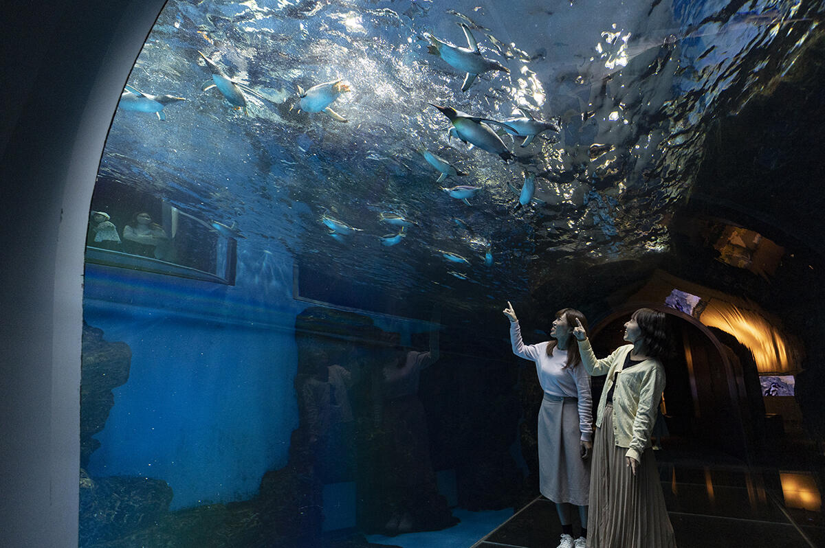 Kaikyokan Aquarium