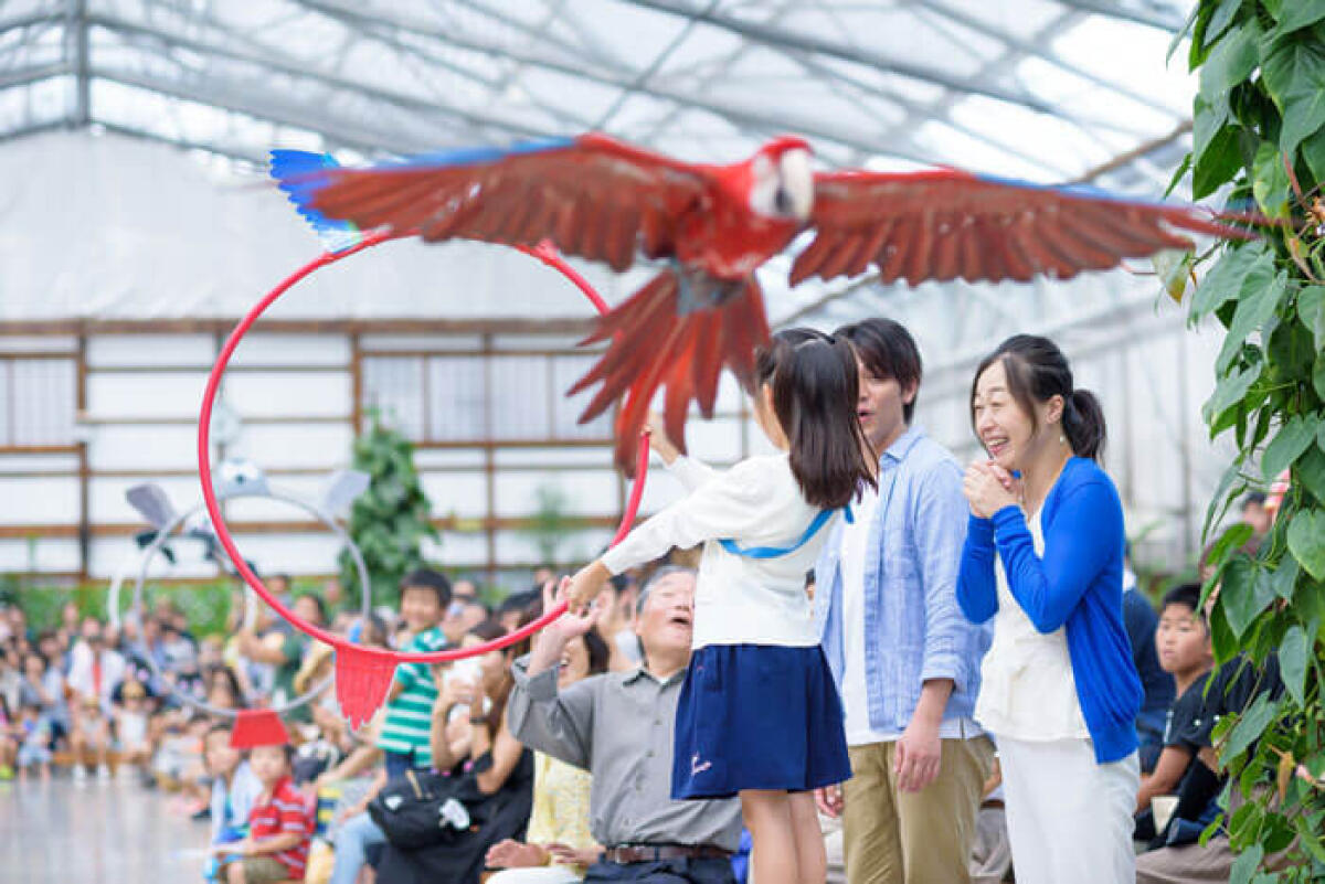 Kakegawa Bird Park