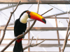 Kakegawa Bird Park
