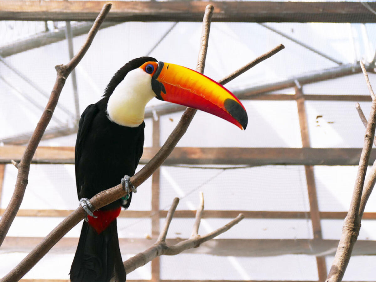 Kakegawa Bird Park