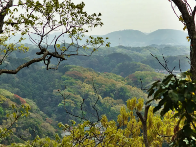 Kamakura's Hiking Trails