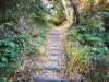 Kamakura's Hiking Trails