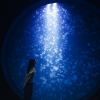 Kamo Aquarium