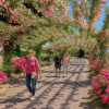 Kanoya Rose Garden