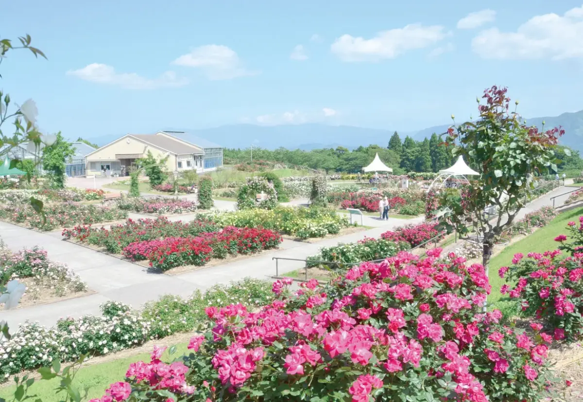 Kanoya Rose Garden
