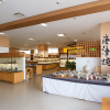 Karatsu-yaki Pottery Gallery