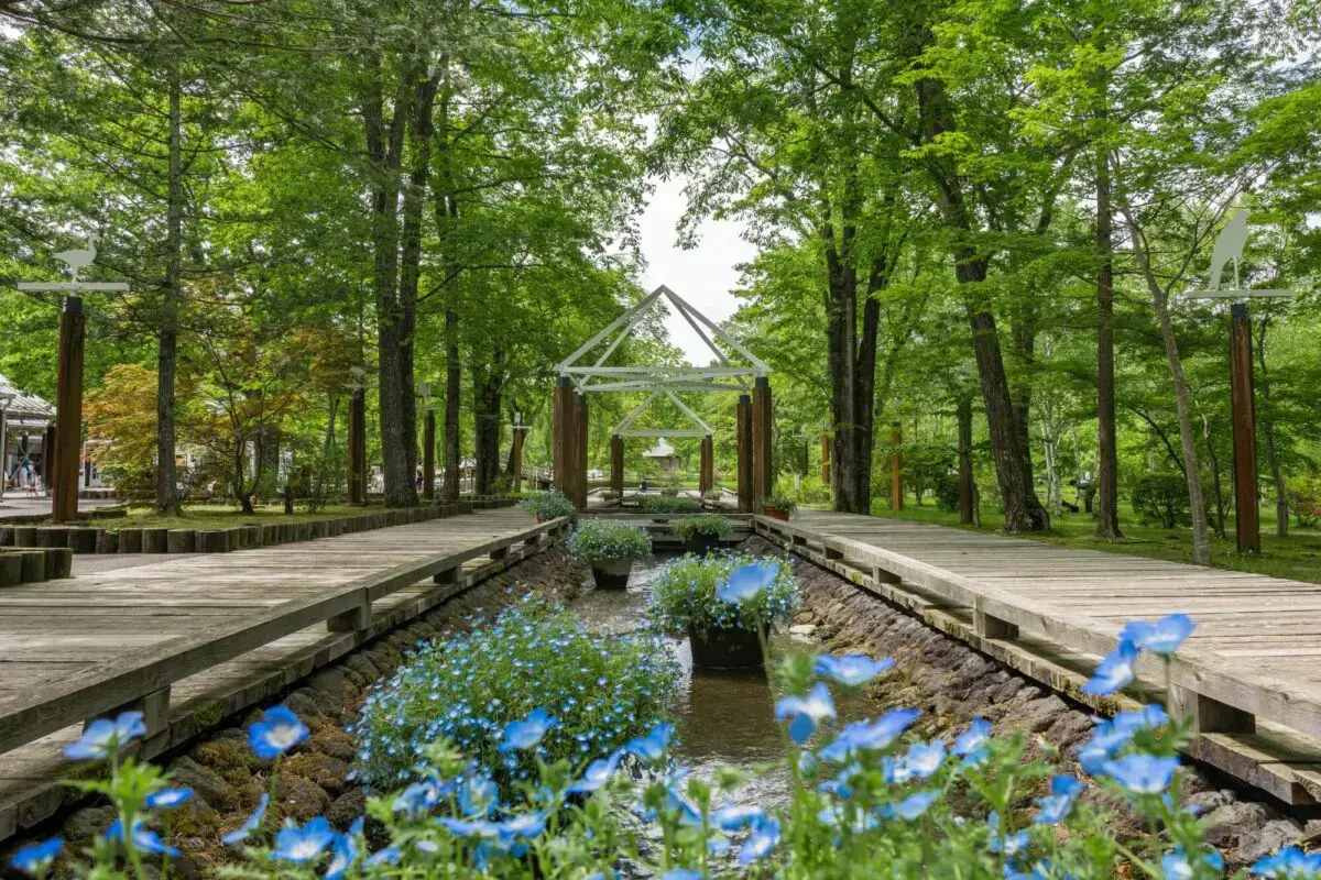 Karuizawa Taliesin