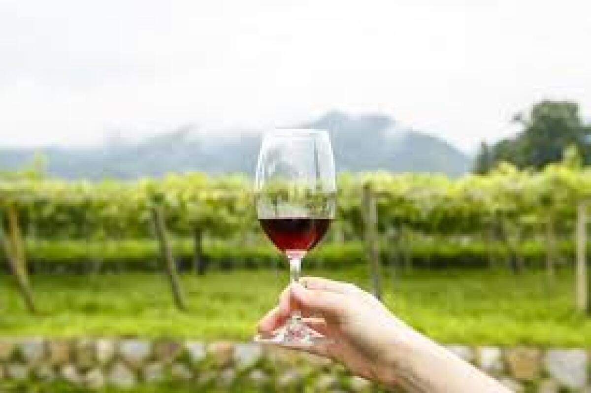 Katsunuma Wineries