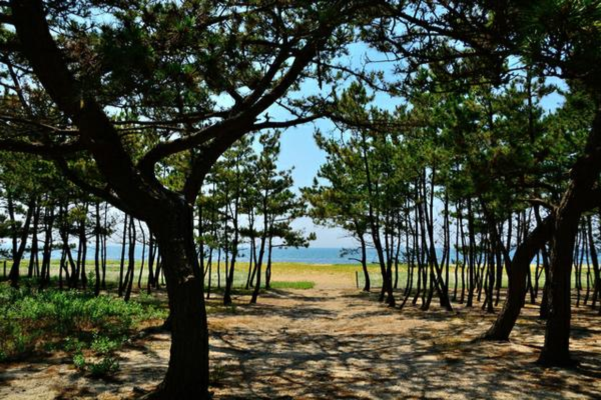 Keino Matsubara Beach