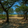 Keino Matsubara Beach