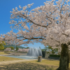 Kikko Park