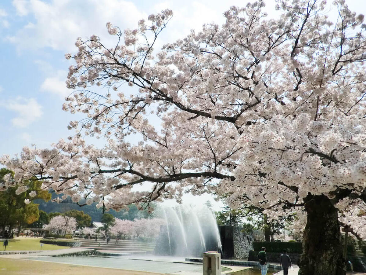 Kikko Park