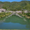 Kikko Park