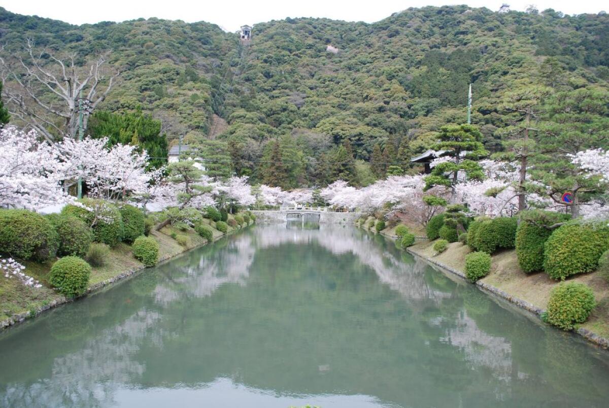 Kikko Park