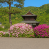 Kikko Park
