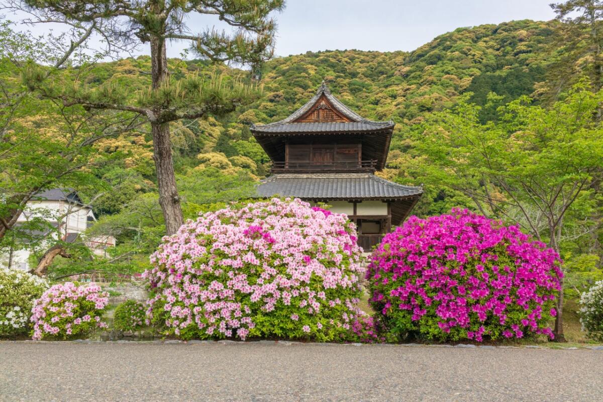 Kikko Park