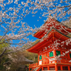 Kimiidera Temple