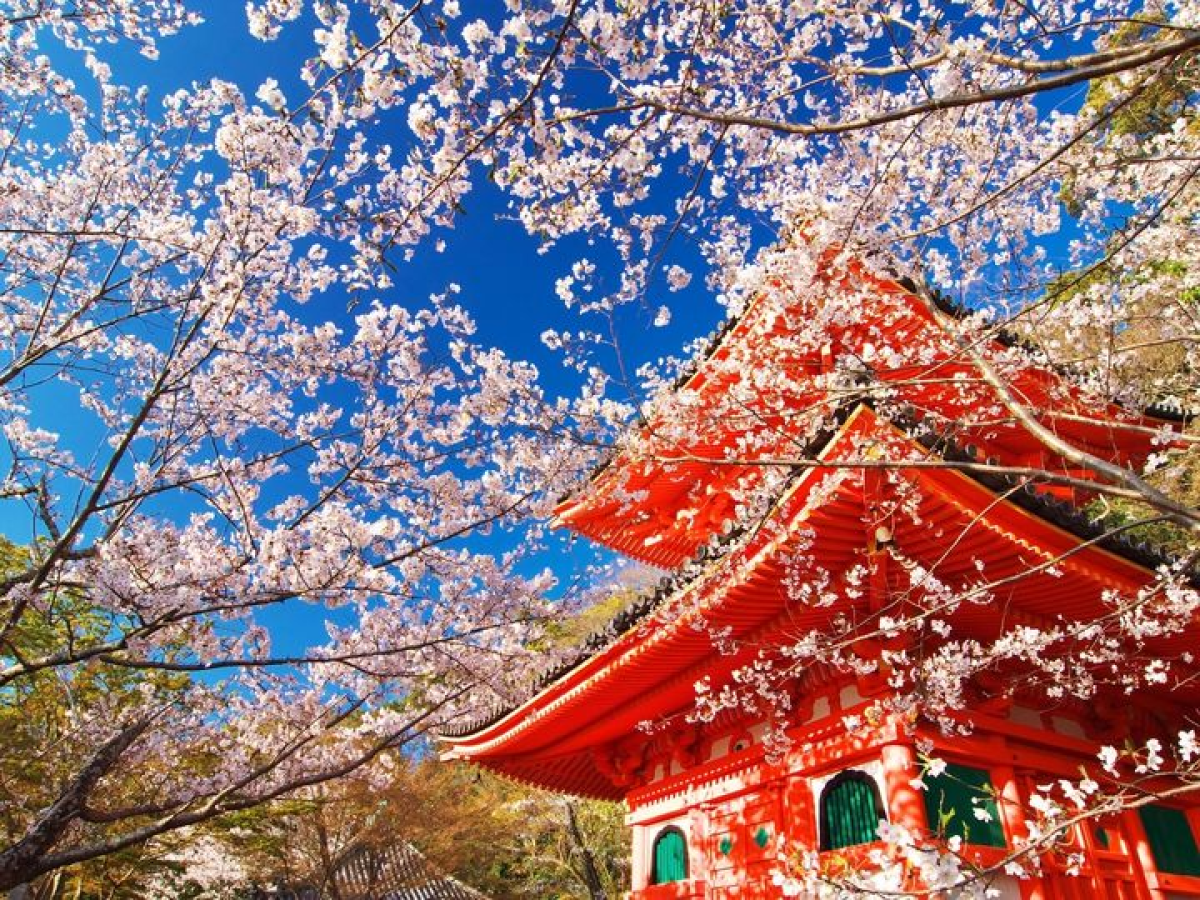 Kimiidera Temple
