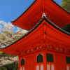 Kimiidera Temple