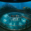 Kinosaki Marine World