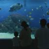 Kinosaki Marine World