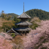 Kinpusenji Temple