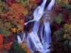 Kirifuri Waterfall (Kirifuri no taki)