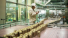 Kirin Beer Factory Sendai