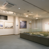 Kitsuki Castle Town Museum